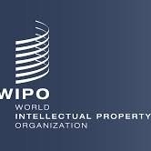 ANNOUNCEMENT: Invitation to WIPO 2021 PCT User Satisfaction Survey