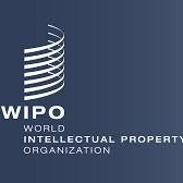 OAPI Joins Geneva Act of WIPO's Lisbon Agreement